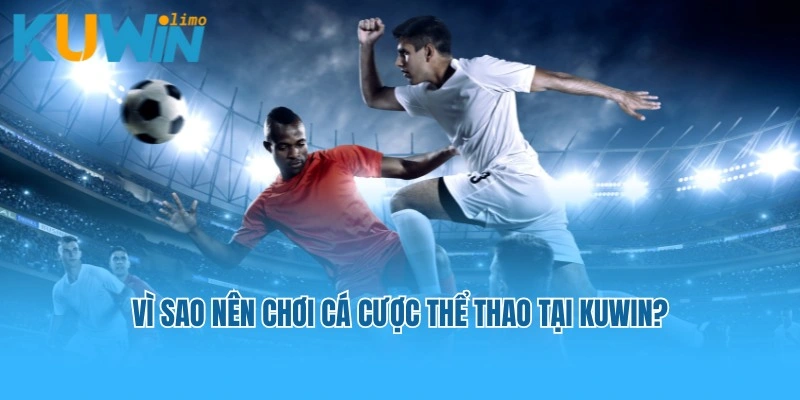 Vì sao nên chơi cá cược thể thao tại Kuwin?