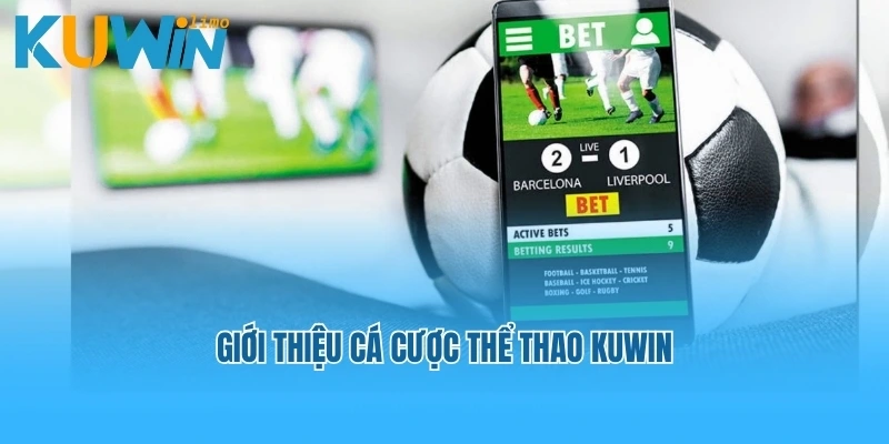 Giới thiệu cá cược thể thao Kuwin